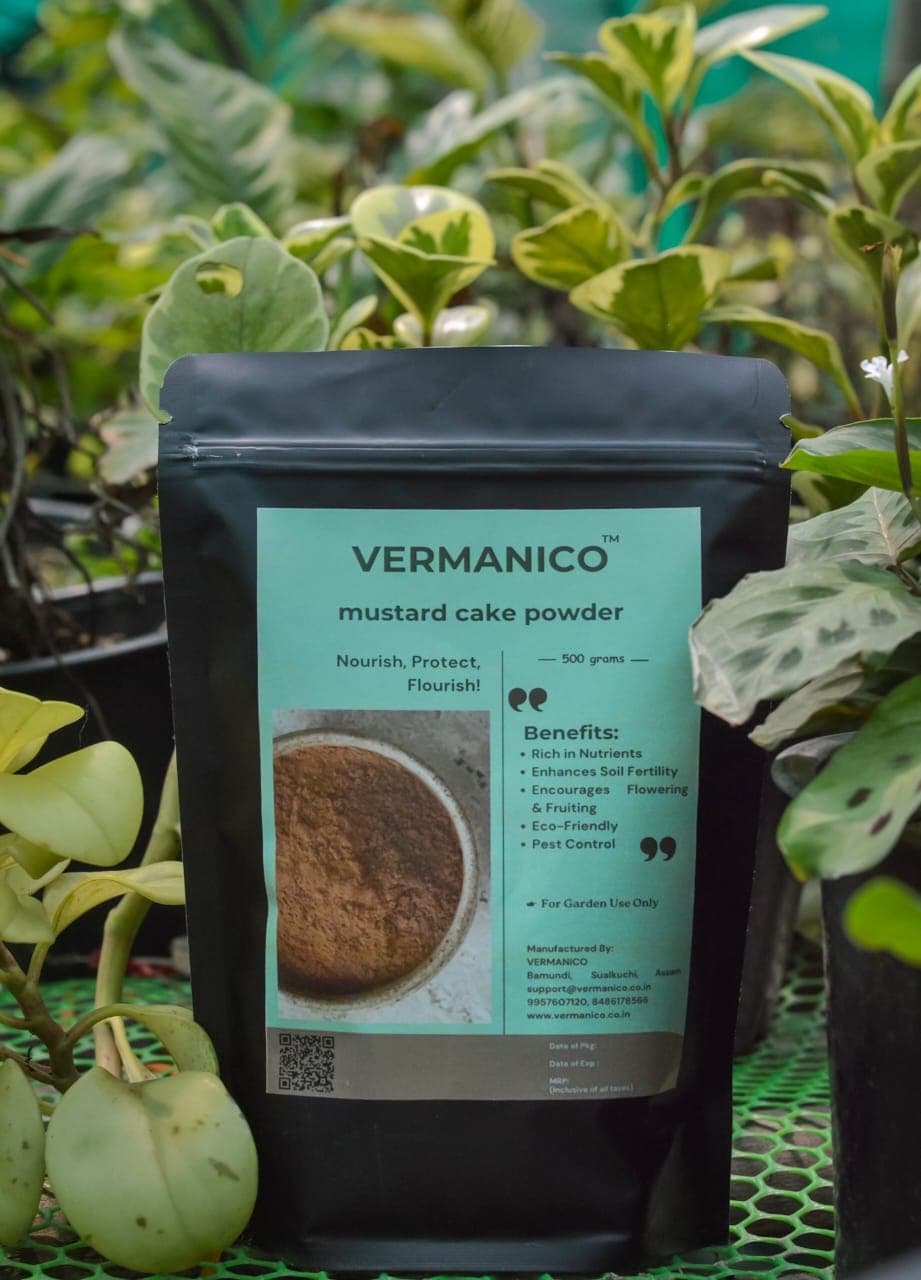 Mustard Cake Powder - 400g